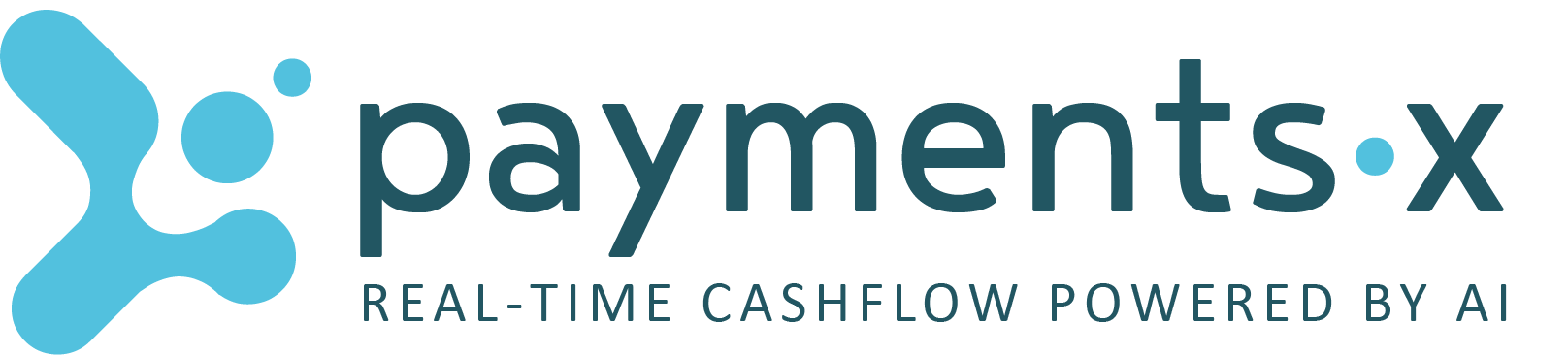 PaymentsX AI