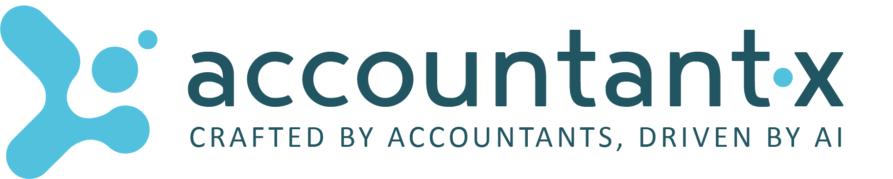 AccountantX AI